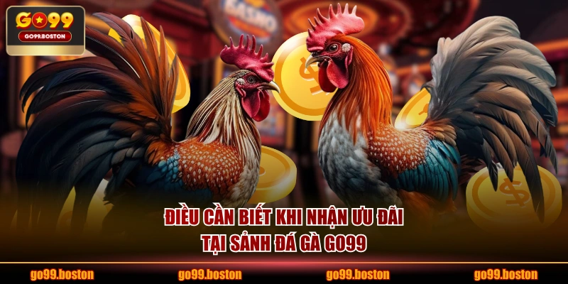Điều cần biết khi nhận ưu đãi tại sảnh đá gà GO99
