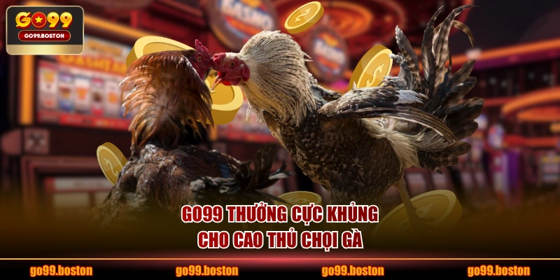 GO99 thưởng cực khủng cho cao thủ chọi gà