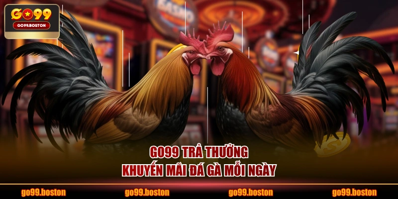 GO99 trả thưởng khuyến mãi đá gà mỗi ngày